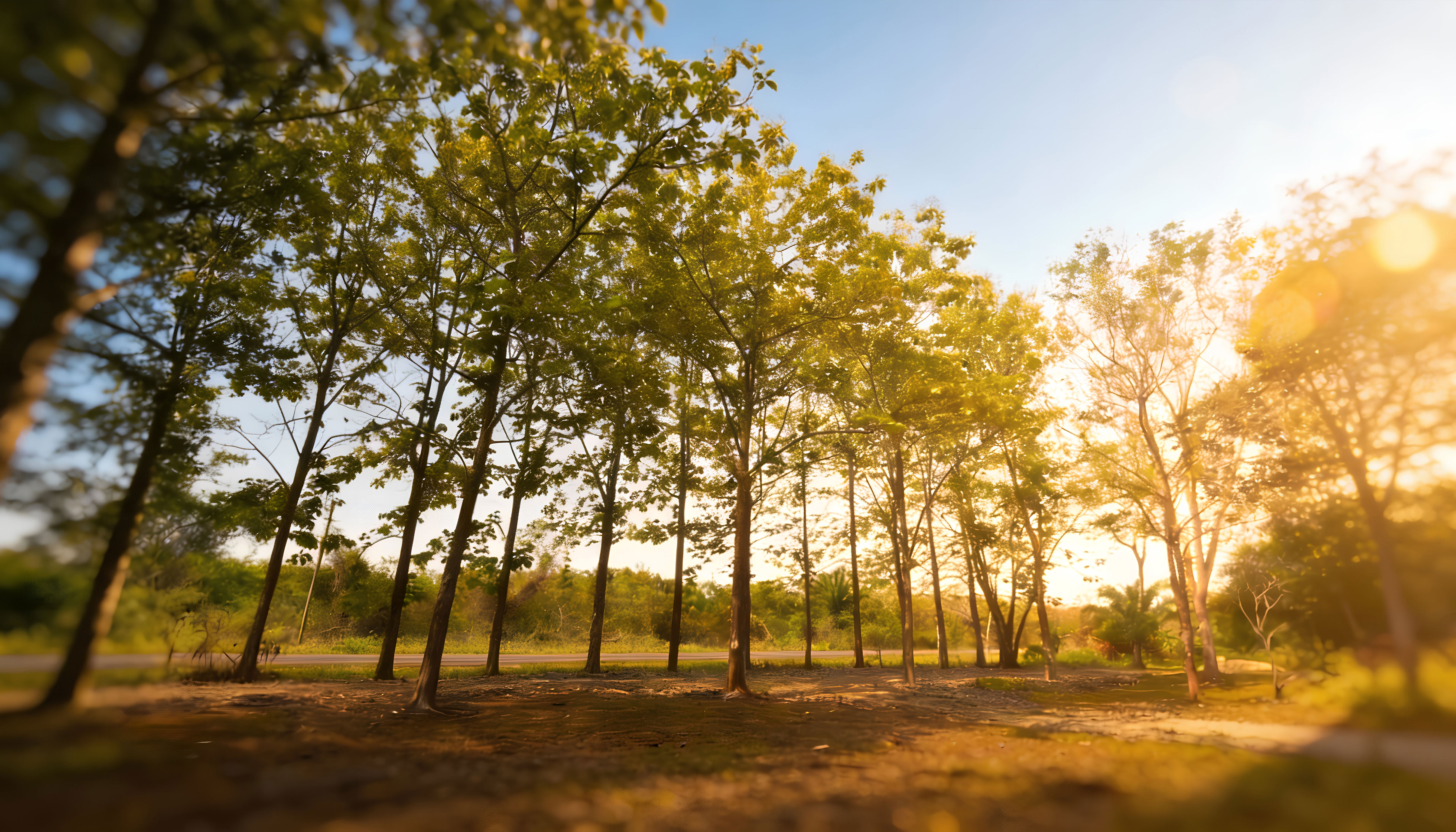 Main investment view